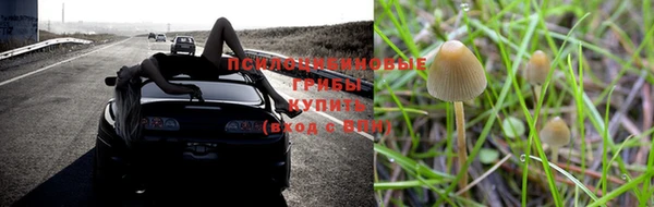 прущие крисы Арсеньев