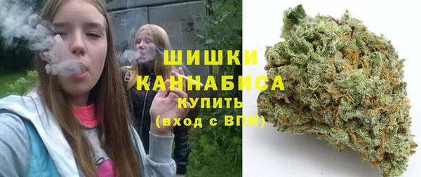 прущие крисы Арсеньев