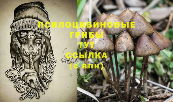 прущие крисы Арсеньев
